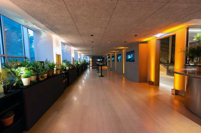 the Design Museum