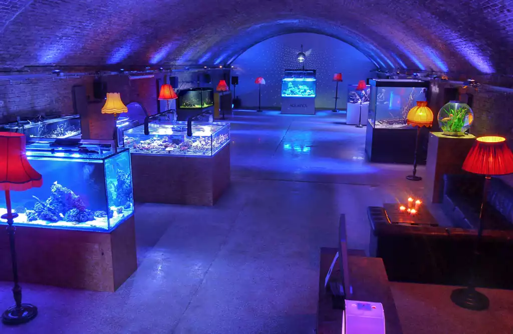 Main Space