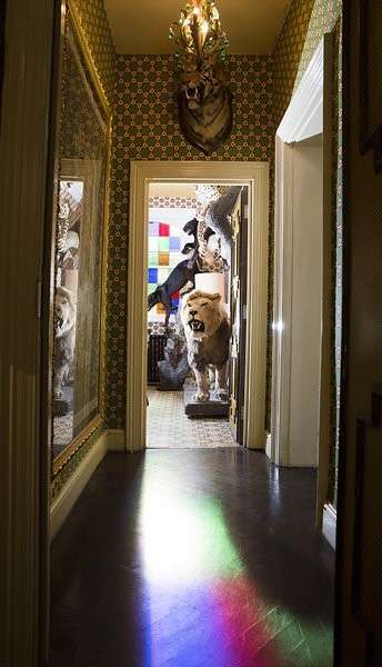 The Cat Room