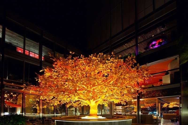 SUSHISAMBA TREE TERRACE - 38TH FLOOR