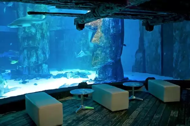 london virtual aquarium london virtual aquarium