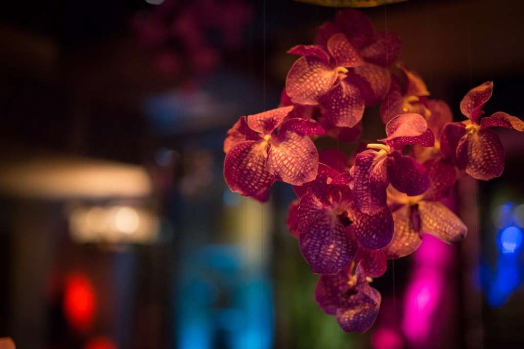 Party venues in London: Momo Restaurant