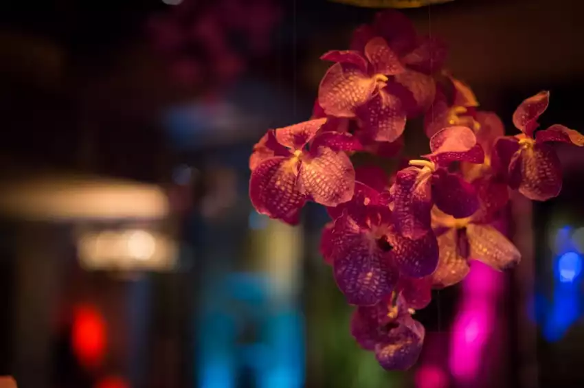 Party venues in London: Momo Restaurant