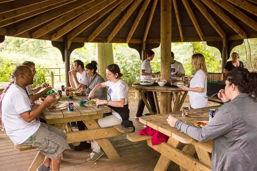 Party venues in London: Go Ape Battersea Park