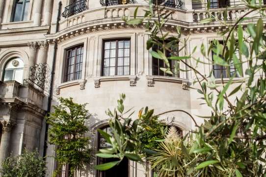 The back of the house and terrace