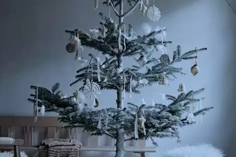 Christmas Pop Up venues