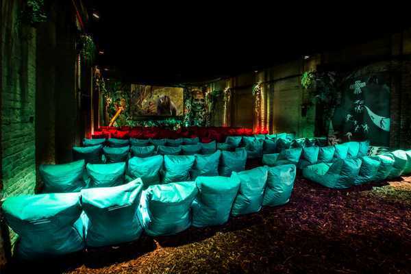 Backyard Cinema