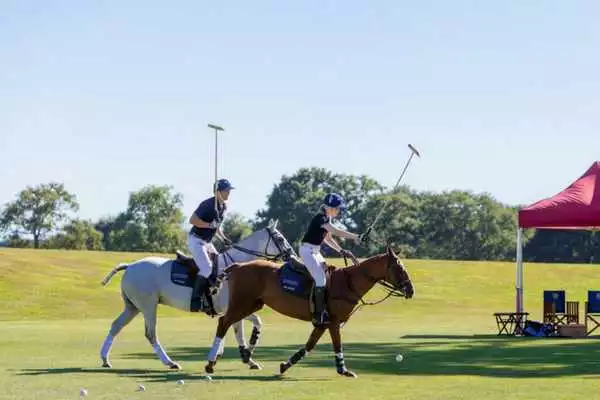 Polo in the Park