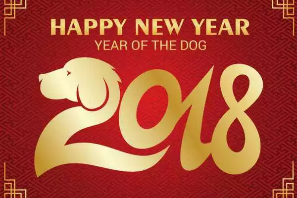 How to celebrate the Chinese New Year in style!