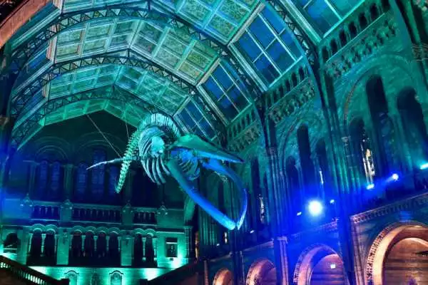 Natural History Museum