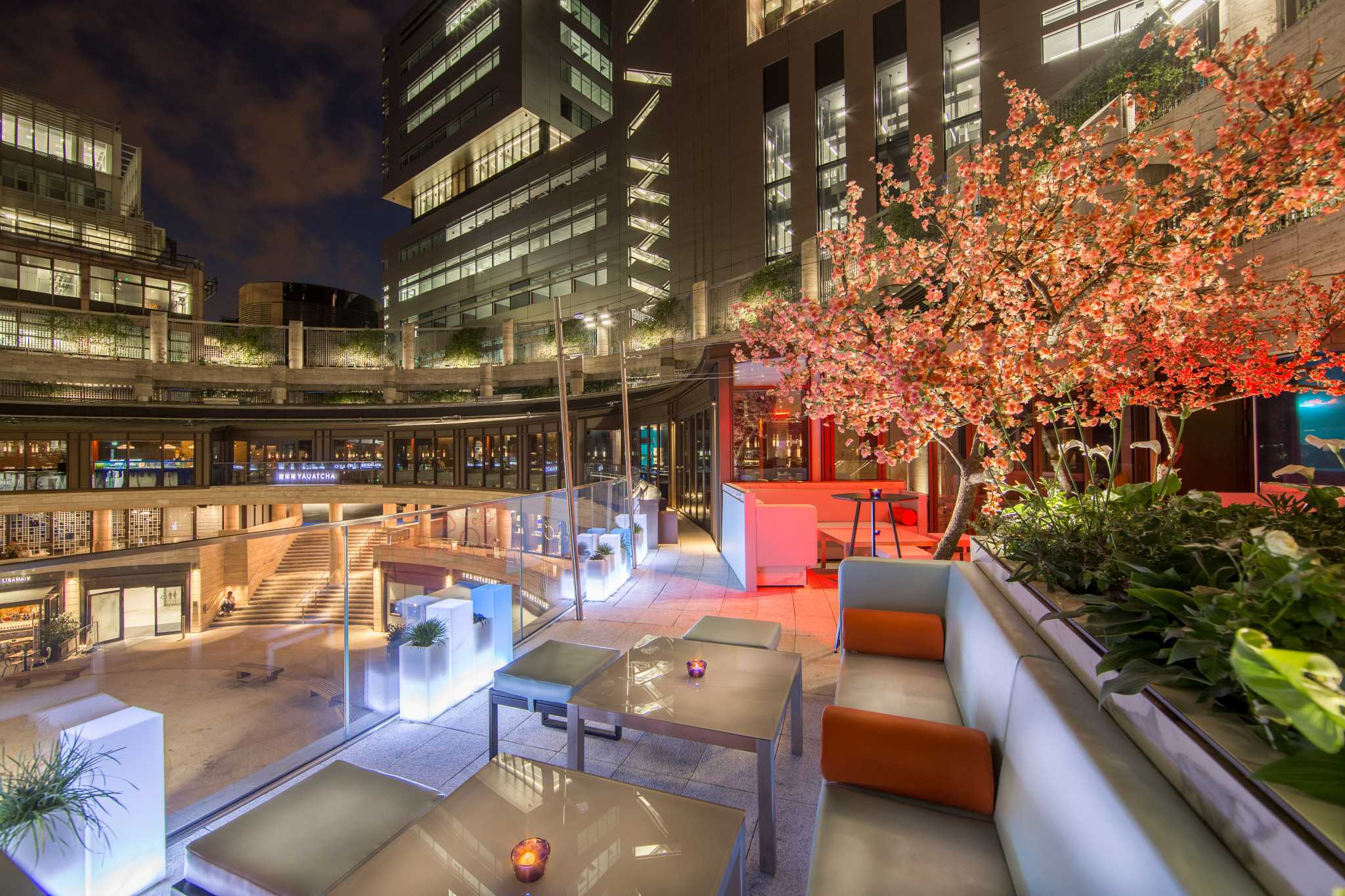 Roof Terrace