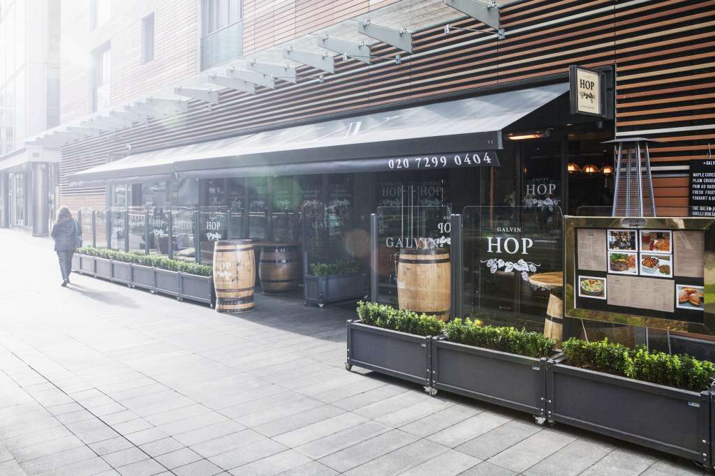 Galvin Hop