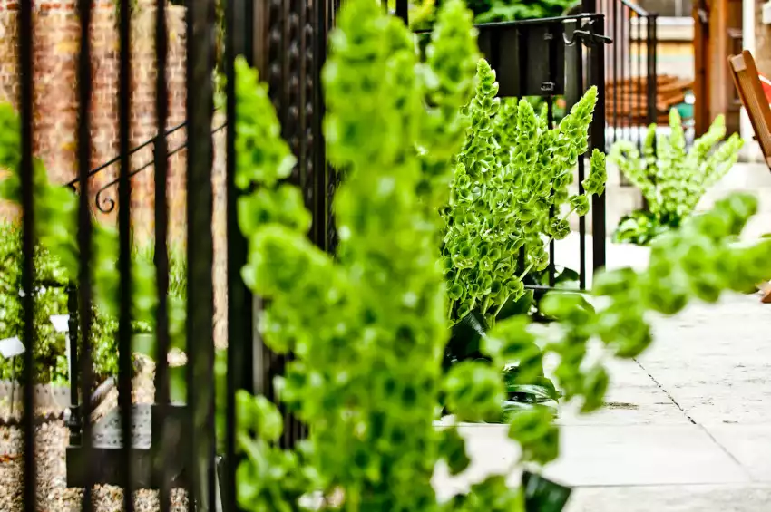 Barber-Surgeons Hall