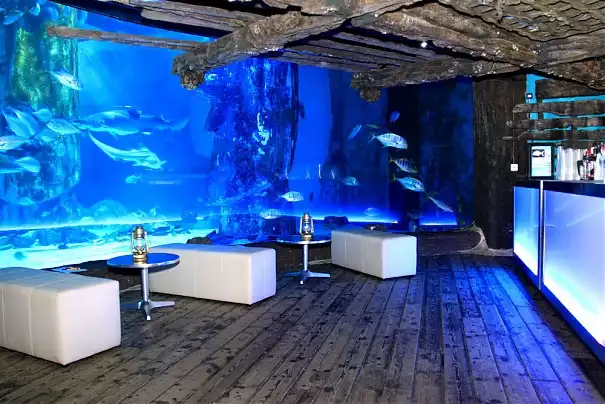 Exclusive use - Pacific Wreck, Coral Kingdom and Atlantic Cove