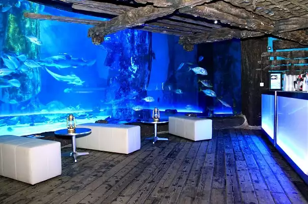 Conference venues in London: SEALIFE London Aquarium
