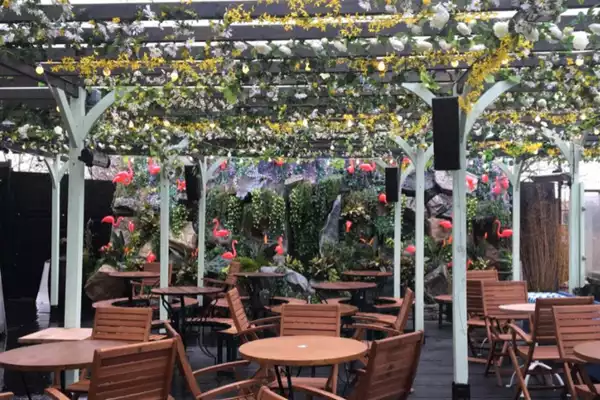 FEST Roof Terrace