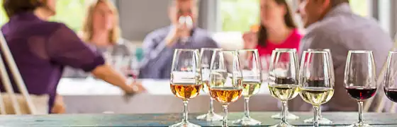 Team Building - Wine Tasting