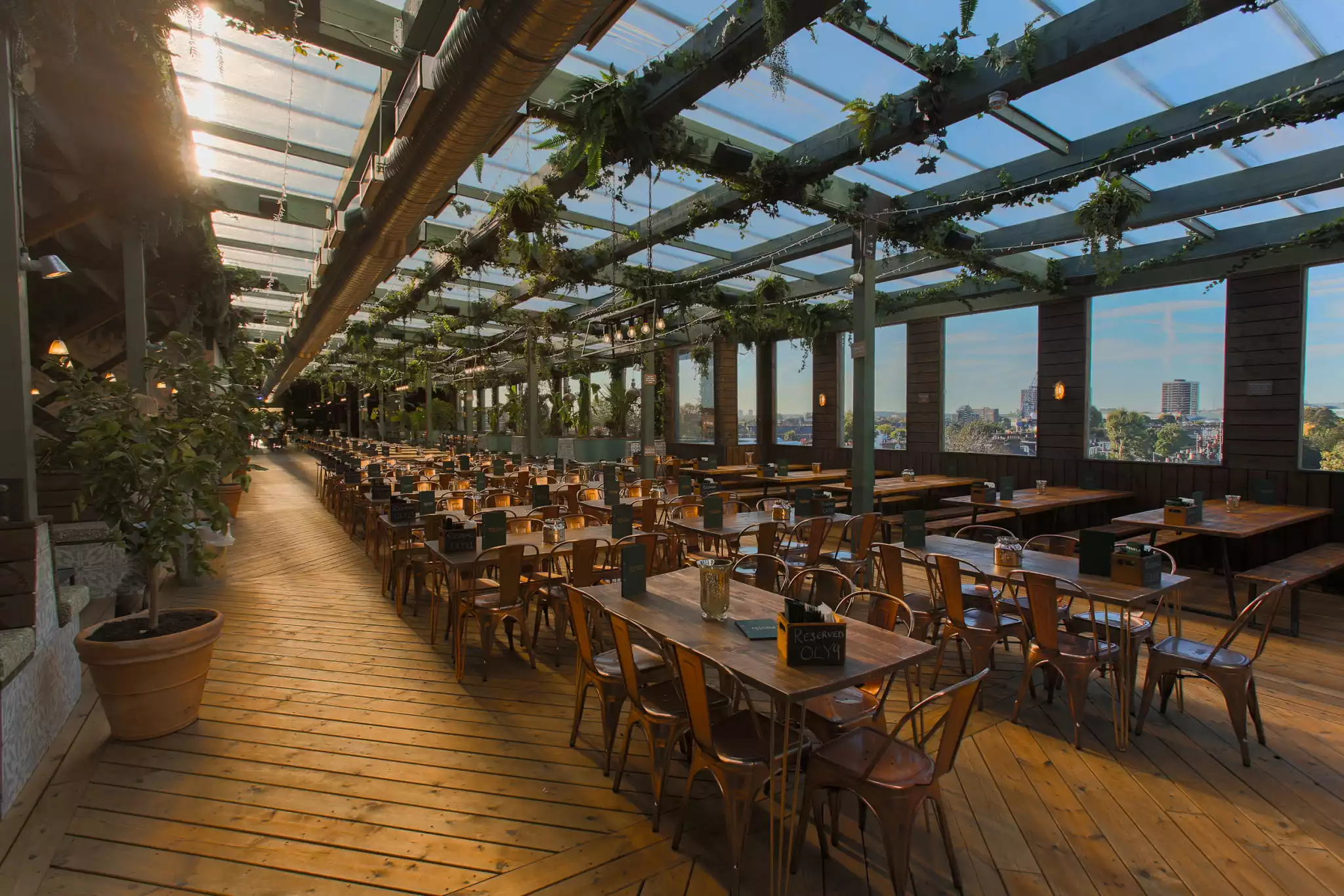 Pergola Olympia London