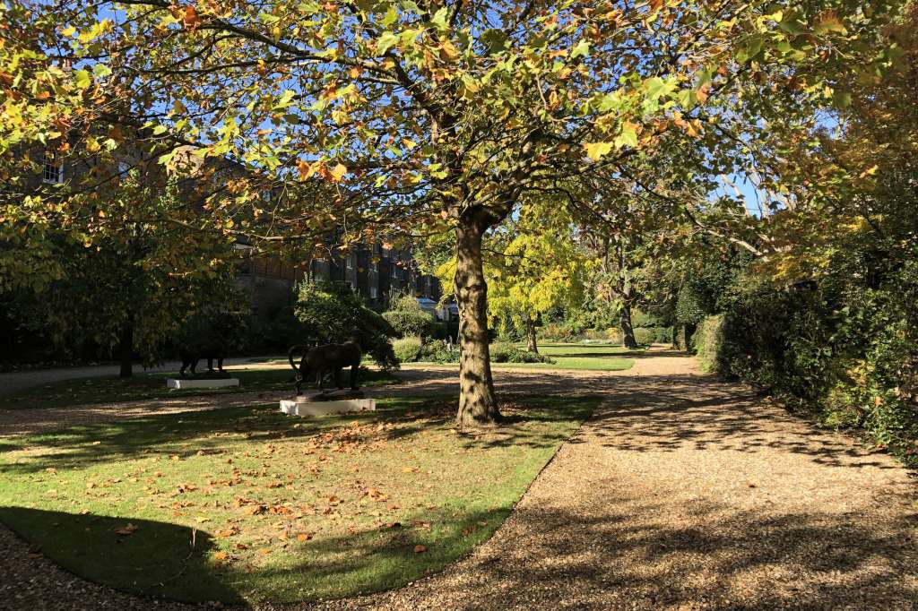 Party venues in London: Montague Street Garden