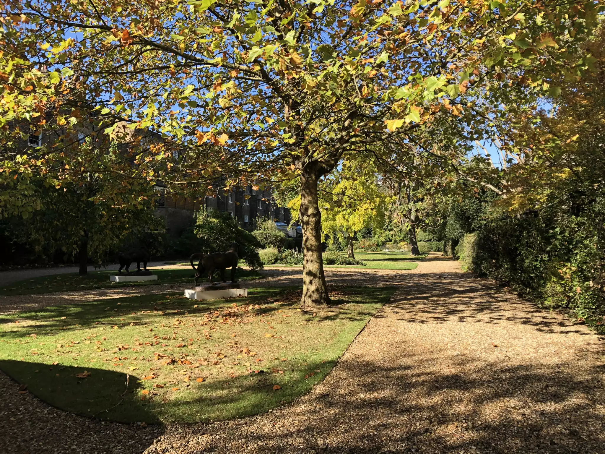 Montague Street Gardens