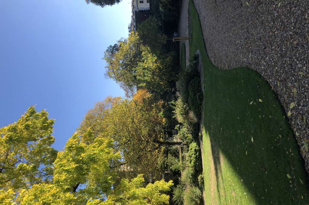 Party venues in London: Montague Street Garden