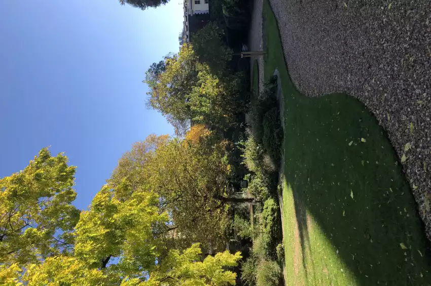 Party venues in London: Montague Street Garden