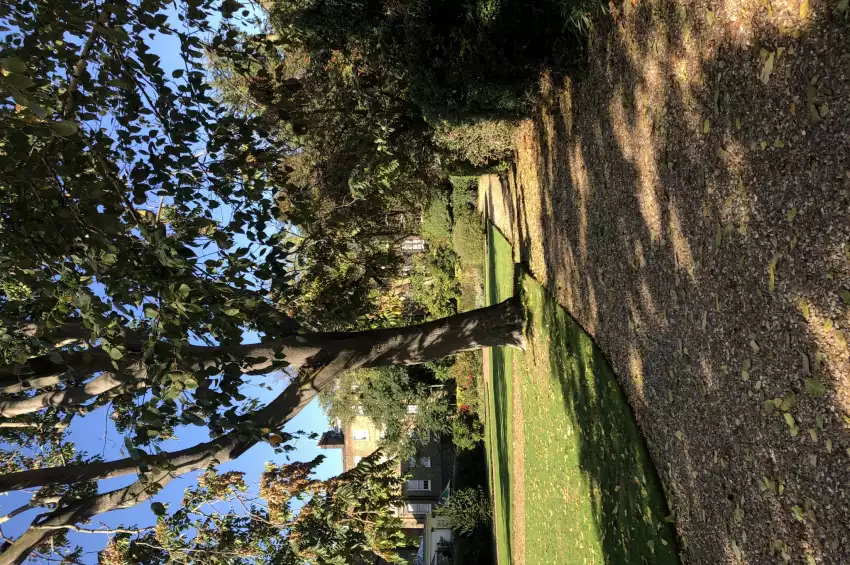 Party venues in London: Montague Street Garden