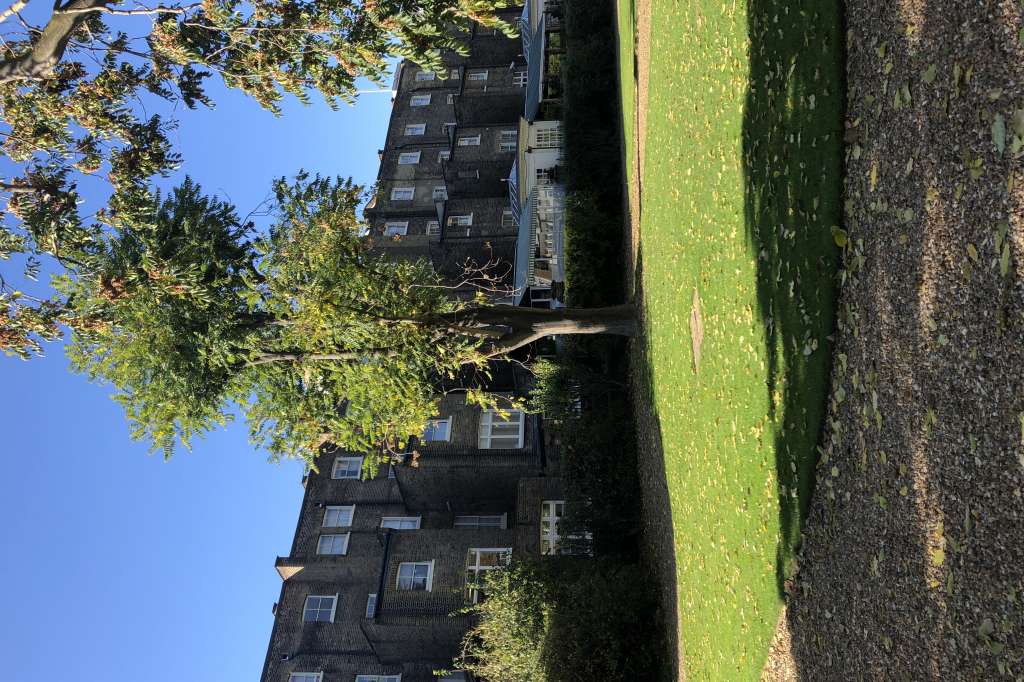 Party venues in London: Montague Street Garden