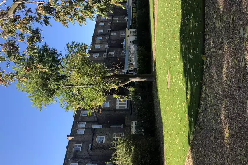 Party venues in London: Montague Street Garden