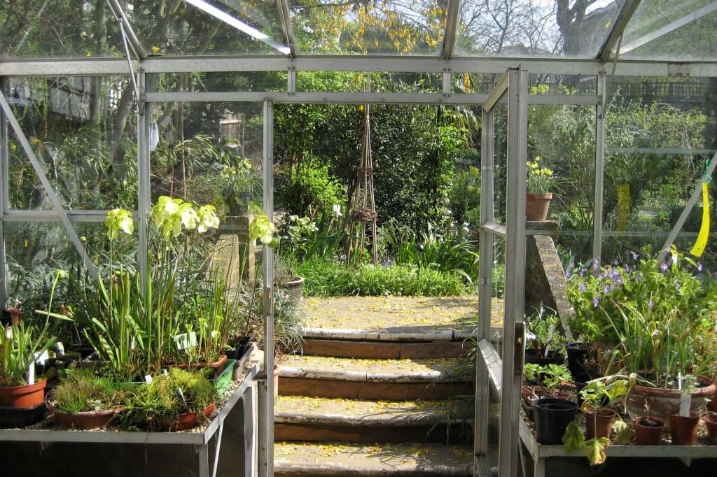 Conference venues in London: The South London Botanical Institute