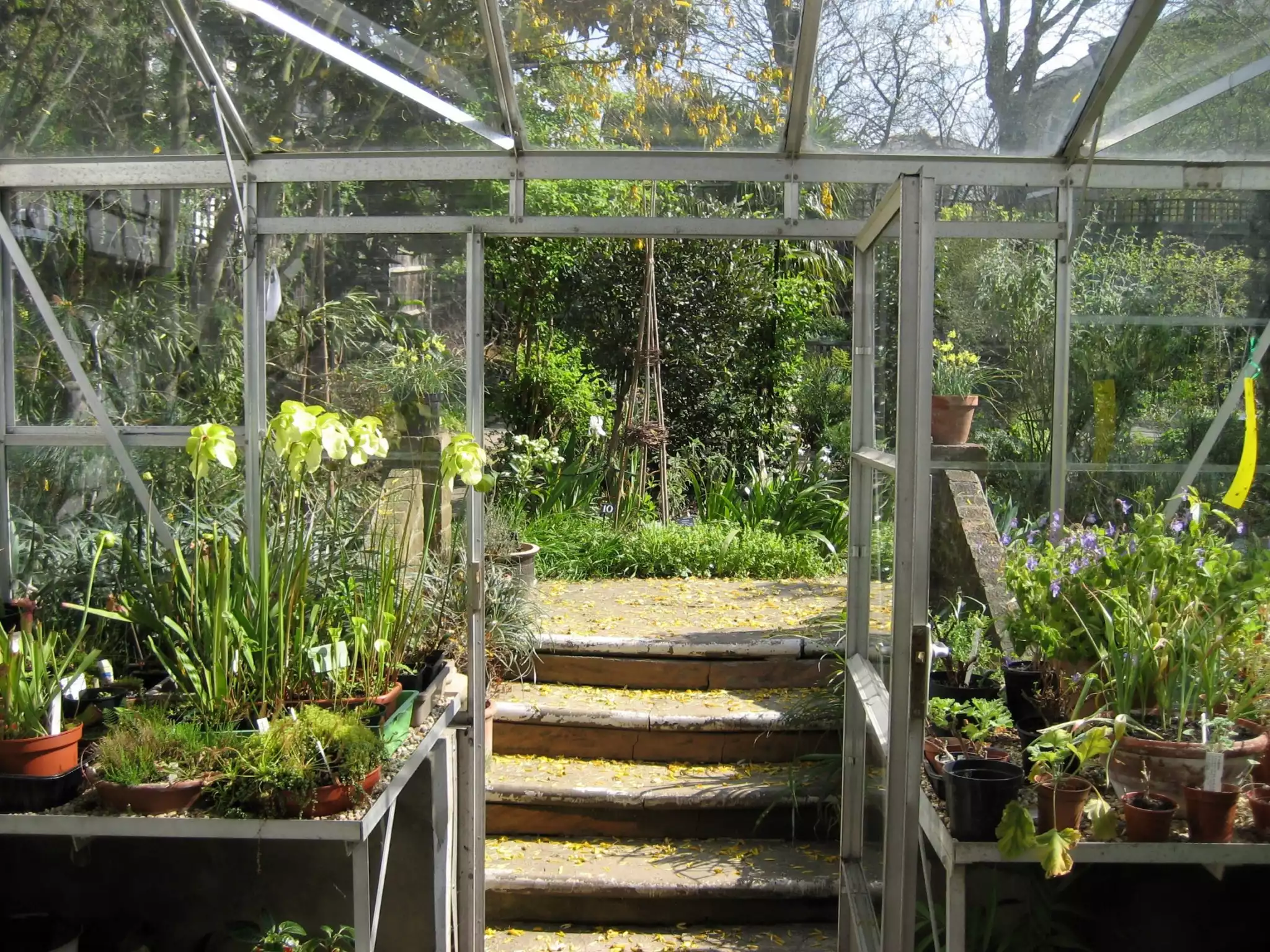 Lecture Room and Herbarium combined