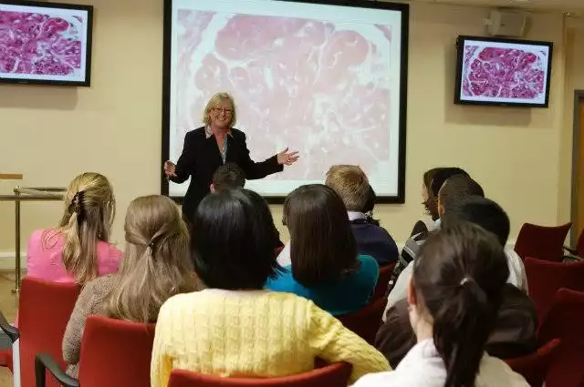 Conference venues in London: W12 Conferences