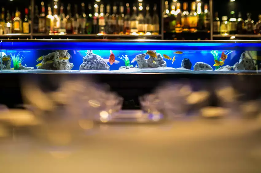 Party venues in London: Yauatcha Soho