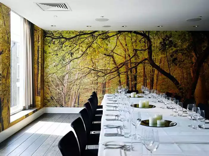 The Forest Room