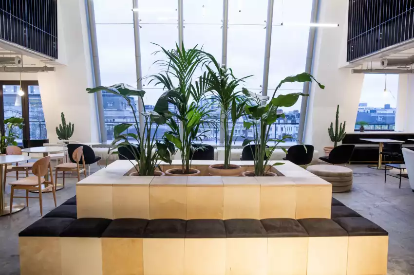 Labs House 7th Floor