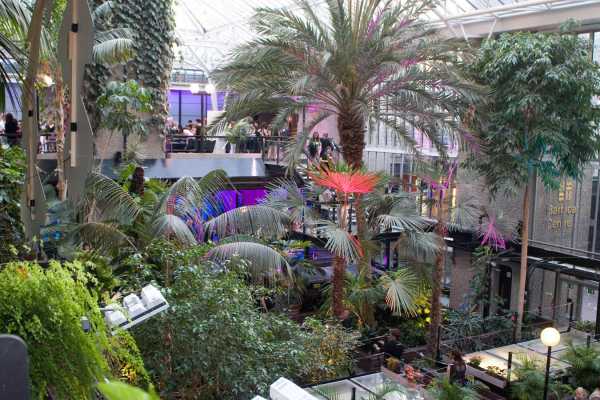 Barbican Conservatory