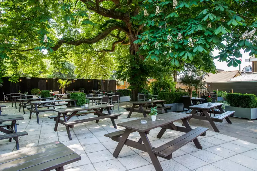 The Crown and Greyhound