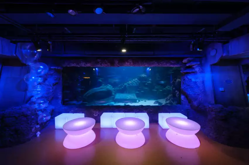 SEALIFE London Aquarium