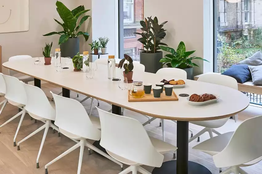 Meet in Place - King William