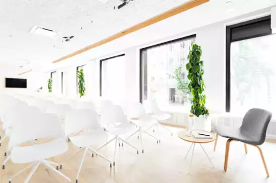 Meet in Place - King William