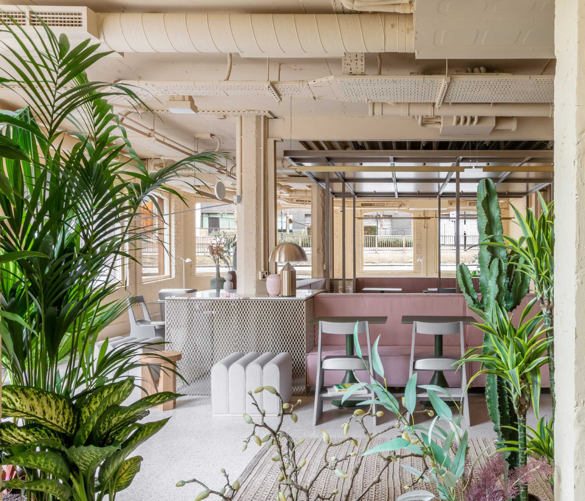 Co-working space & Meeting room