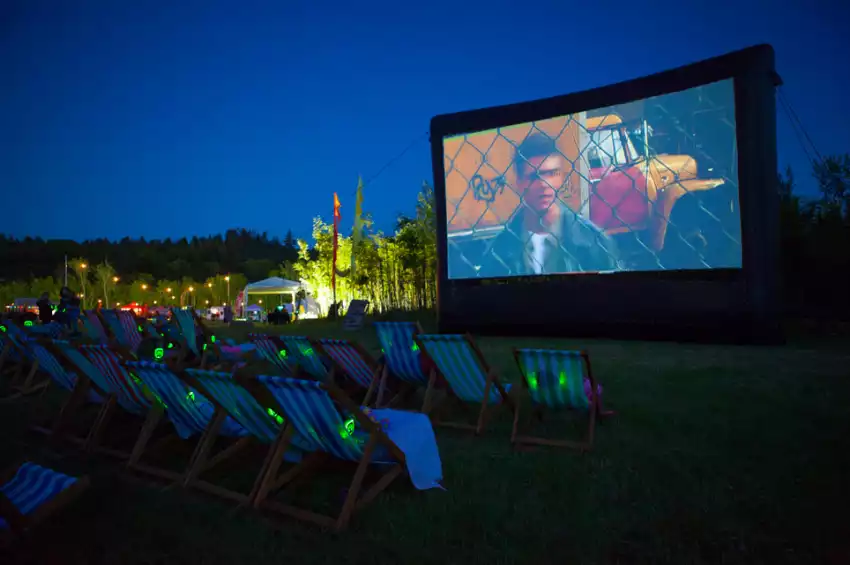 The Wild Meadow Kent