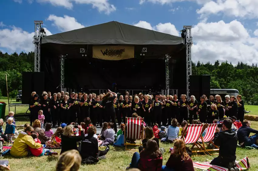 The Wild Meadow Kent