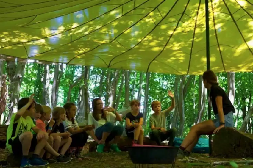 The Wild Meadow Kent