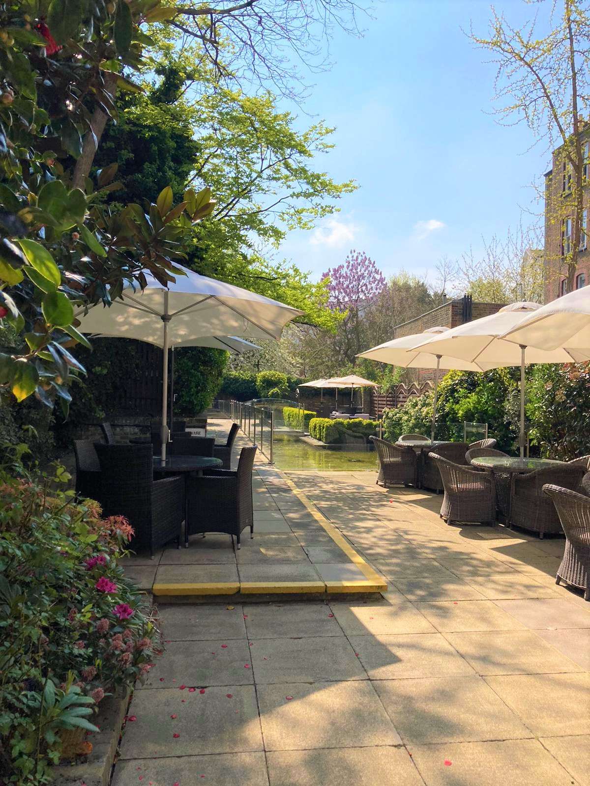 The Garden