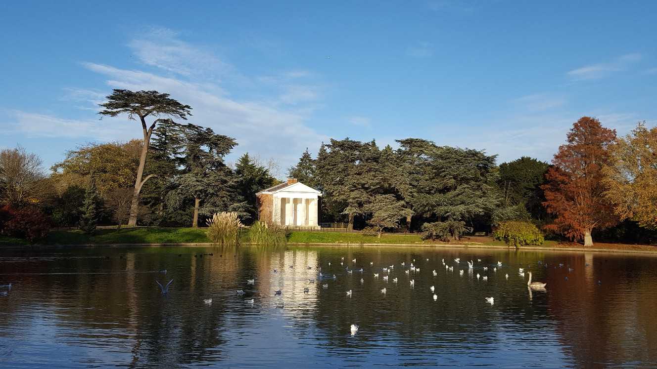 The Temple