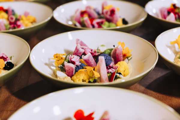 Perfect plant-based dishes for January