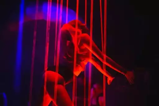 The London Reign Showclub  The London Reign Showclub