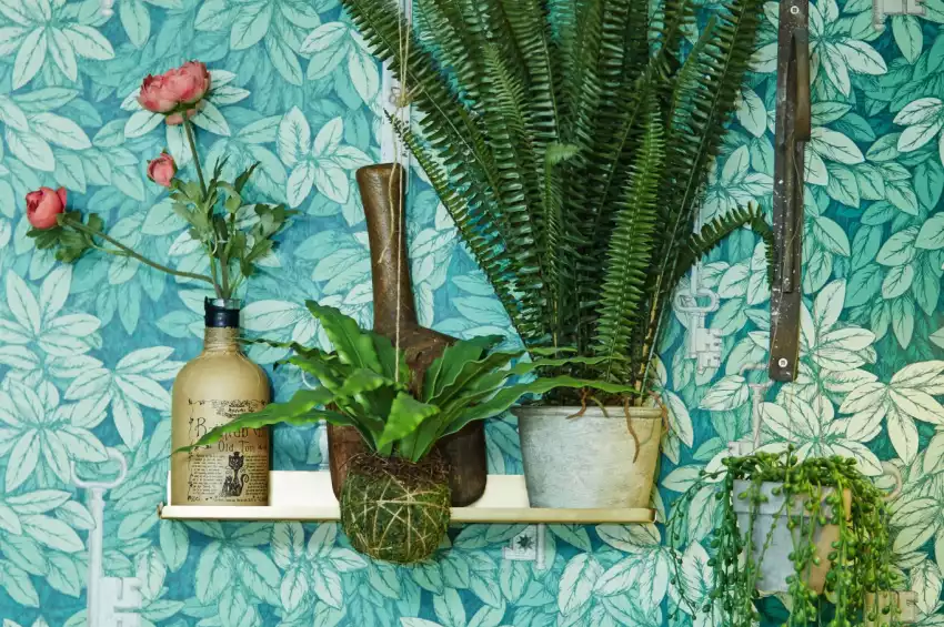 Brasserie Blanc Southbank