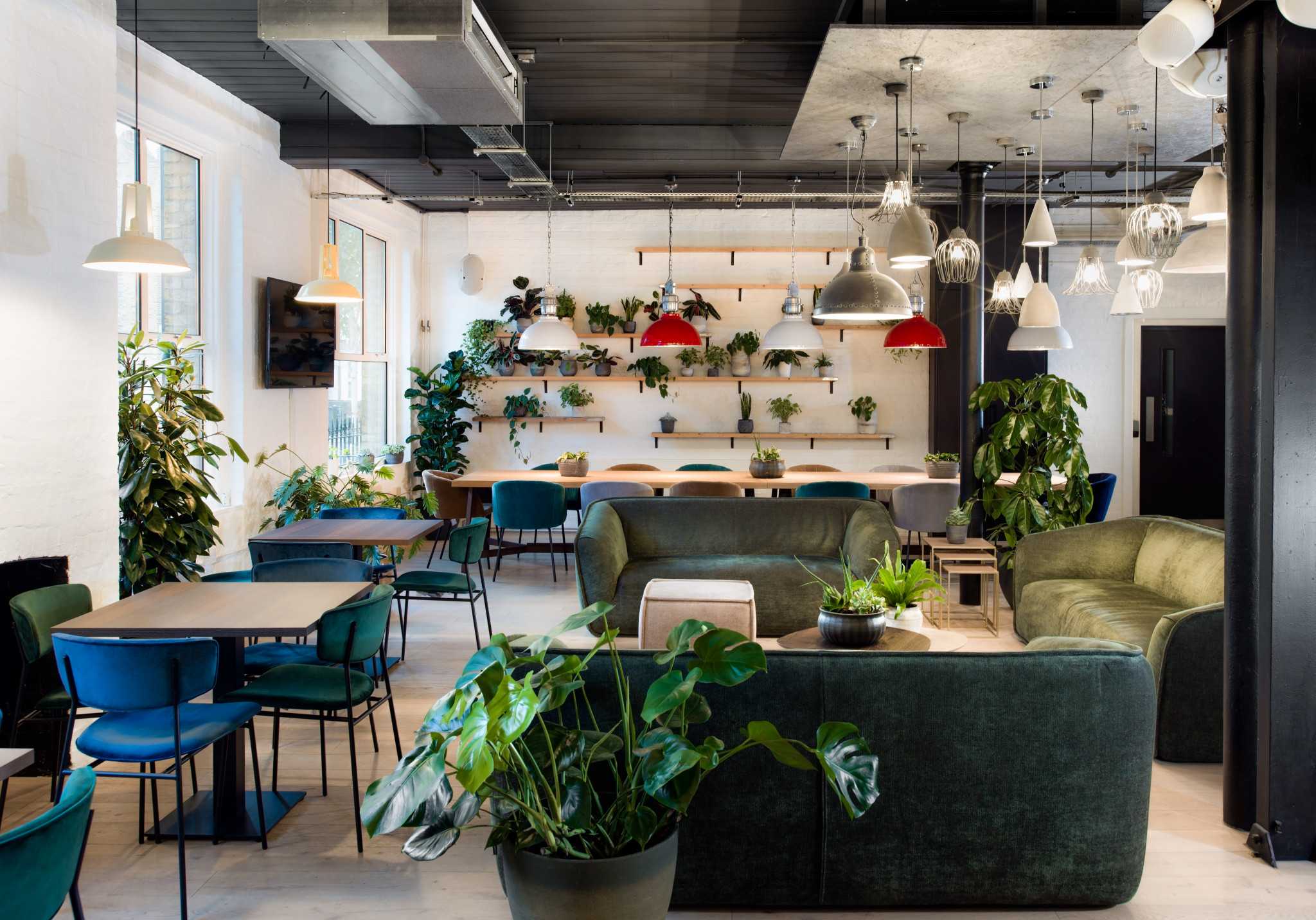 Cafe/Lounge